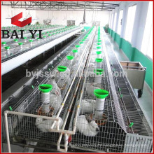 Meat Rabbit Farms Cages